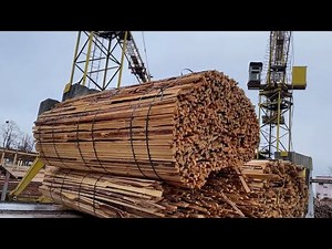 Extreme Load Collapse – Wild Wood Chips Burst.