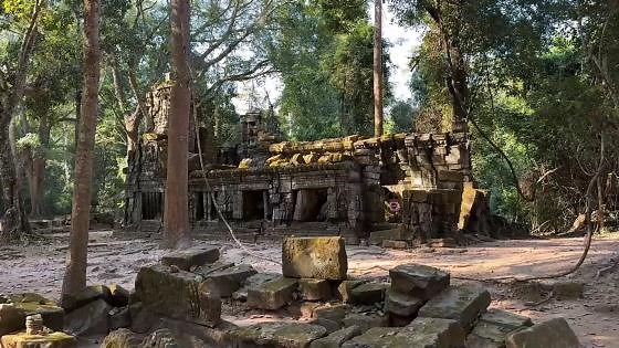Cambodia - Discover Angkor Wat & Ta Prohm Temple