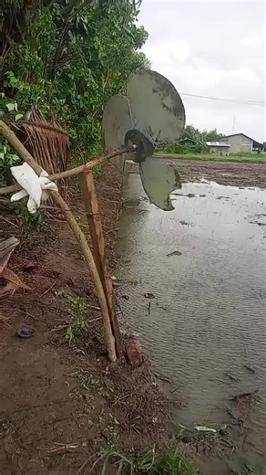 Understanding Wind Tornadoes: Creation and Impact Guide