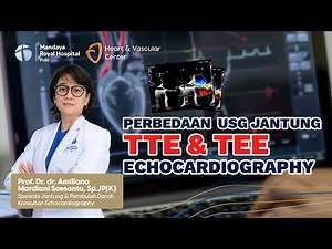 Perbedaan Fungsi Echocardiography TTE & TEE Dalam Menilai Kelainan Jantung | Prof. Dr. dr. Amiliana