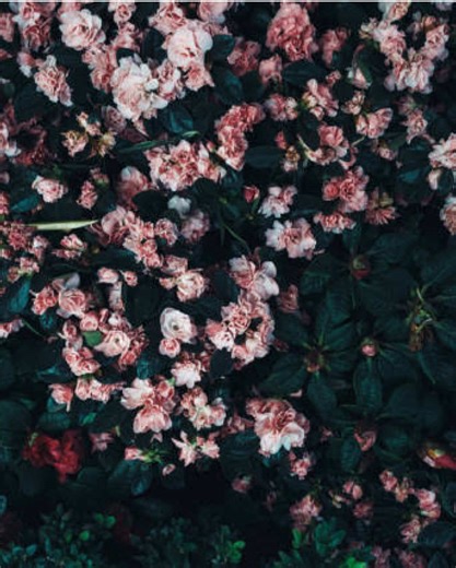 Phần 1 , minh.canh.2000 , ( full chuyện 3 phần ) #xuhuong #xuhuongtiktokk #hot