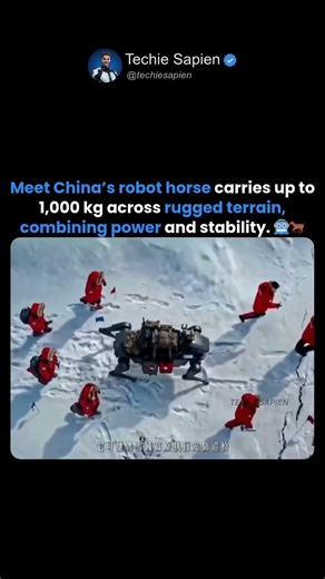 China’s Robot Horse Can Carry 1000kg — The Future of Heavy-Duty AI Machines is Here 🤖🐎