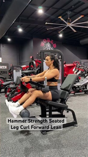 Hammer Strength Seated Leg Curl Forward Lean