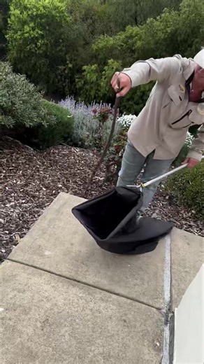 11K views · 94 reactions | In about 15 years of catching snakes I’ve only ever had a snake go in the bag by itself twice… cute little red belly from Mosquito Hill just laying on top of a shrub 殺 0413 511 440 All areas | Snake Catchers Adelaide | Facebook