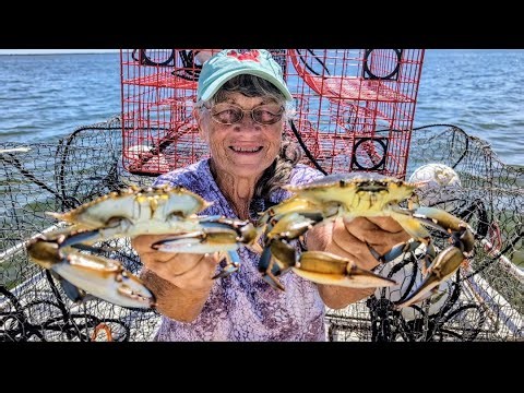 Blue Crabs, Is This Bait Good