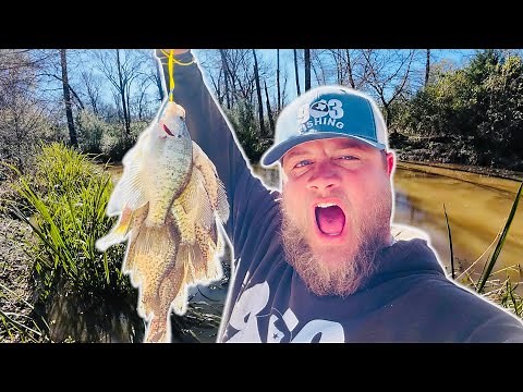 TINY ROADSIDE CREEK WAS LOADED WITH CRAPPIE ‼️CRAPPIE FISHING 2025‼️