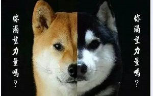 ABB机器人RAPID实用教程