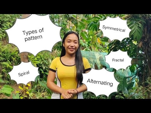 PATTERNS IN NATURE AND TYPES OF PATTERN