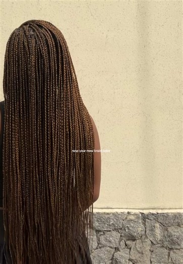 Stunning Knotless Braids in Color 30 and 33