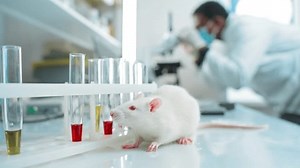 clip-3486187745-laboratory-research-by-scientists-experiments-on-animals