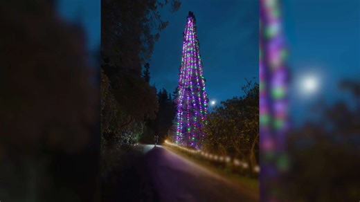 Guinness World Records reveals two new festive records