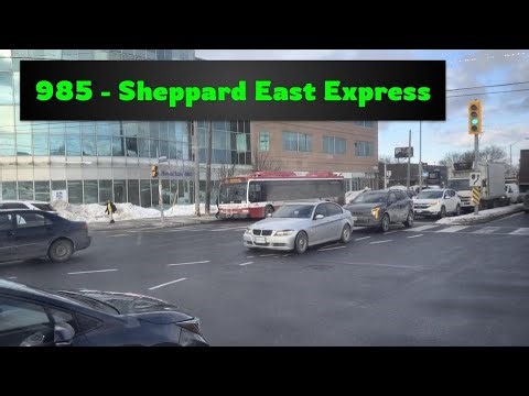 TTC Sheppard East Express Bus 985: Don Mills to Morningside Avenue