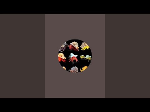 VARIOUS ANIMALS99 sedang live sekarang!