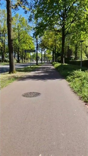 Riding Down a Tree-Lined Urban Bike Lane | #Flatrideshort #151