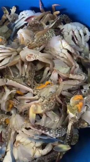 🧨 Selamat Tahun Baru Cina! Semoga segala impian tercapai dan tahun baru ini lebih baik daripada tahun sebelumnya.#berbukapuasa #ikanbakarkemaman #kemamanidamang