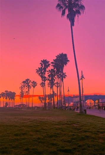 Breathtaking SoCal Sunset at Venice Beach