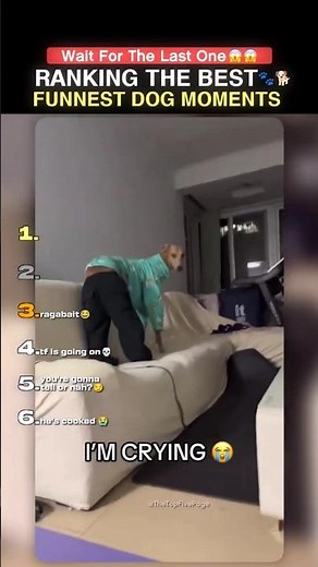 DON'T CLICK THE SOUND 😭!! Ranking best dog moments #sehar