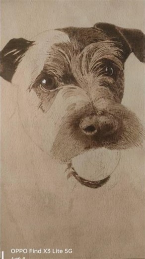 pyrography on birch ply. #pyrographyart #pyrographyartist#pyrography #dogs #dogportrait #shorts