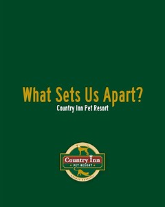What Sets Us Apart❓ 💞 Family Owned & Operated 🌴 Located on 8 Acres ❌ in a Non-Evacuation Zone 🌀 Hurricane Proof Facility 🪟 Impact Glass Windows & Doors 🏊 Two Salt-Chlorinated Pools 🏥 AAHA Accredited Animal Hospital 🥶 14 AAON Hospital Grade A/C Units 🦠 Equipped with Mold Resistant UV lights 🔌 3 Massive Generators for Power Loss 🤿 Doggy Splash Pad/Waterpark 💚 Multiple Play Areas & Large Fields 🏠 Unique Accommodation Styles 🌟 Suites Designed So No Dog Faces Another ✂️ Professional Dog 