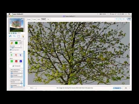 Masking Made Easy with Topaz ReMask
