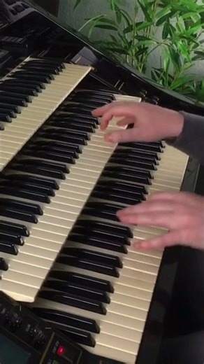 In Der Schweiz | Florian Hutter - Wersi Atlantis #shorts #organ #swing