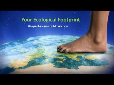 Untitled video lesson