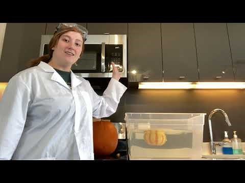 Pumpkin: Sink or Float?