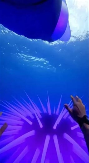 POV: Purple waterslide that make you surprised the most =))) #waterslide #purple