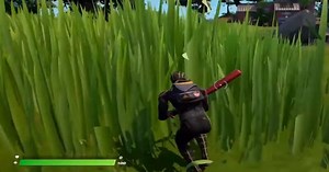 Where to Find Tall Grass in Fortnite