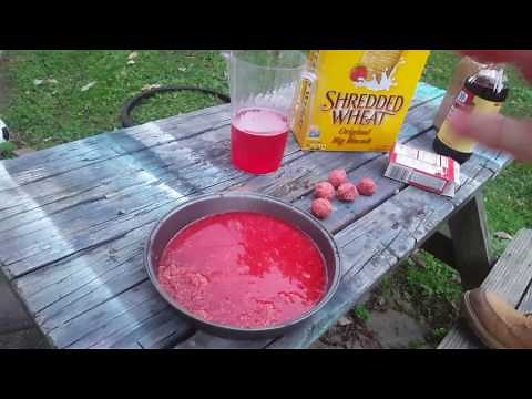 The best carp and catfish bait