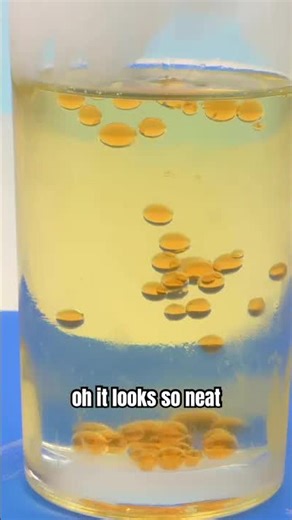 Salmon roe sushi but cake