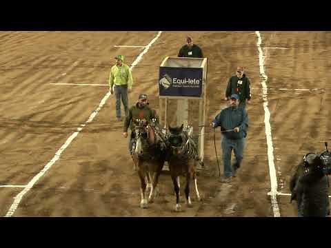 Pennsylvania Farm Show 2022: Pony Pulling Contest