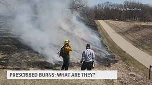 What do controlled burns do for Iowa's environment?