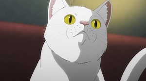 Nyaight of the Living Cat - Official Trailer