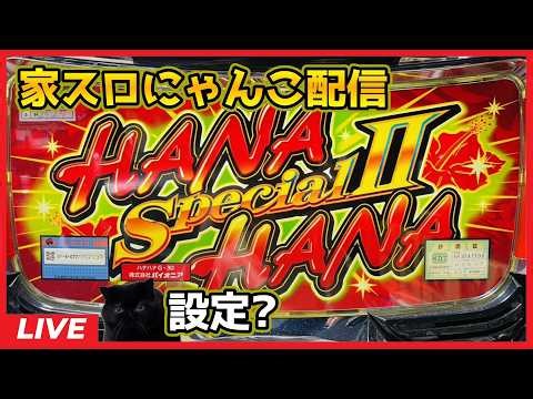 【家スロにゃんこ配信】スペシャルハナハナII‐30【設定?】
