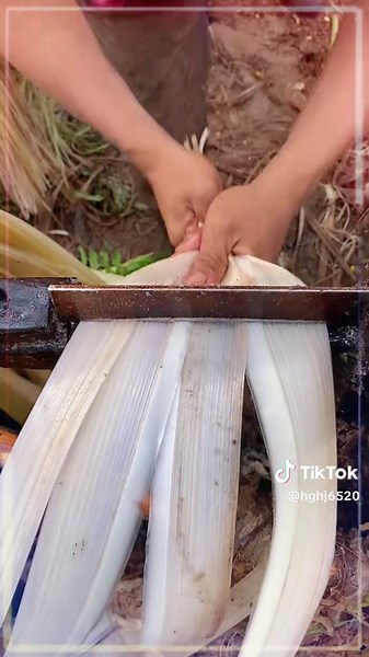 jubalinthemorningradioprogram