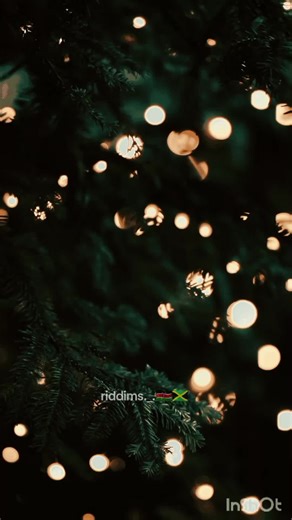 Vybez Kartel - Everyday is Christmas #vibezkartel #chrismas #musicvideo #dancehall #riddim