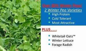 Watch Whitetail Institute Winter Peas Plus Deer Food Plot Seed on Amazon Live