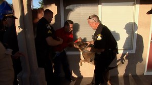 Watch Cops: Season 29, Episode 19, "Between a Bush and a Hard Place" Online - Fox Nation