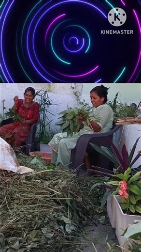 mathu mathu chal garhwali remix song.