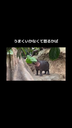 物事がうまくいかないとイライラするあなたへ