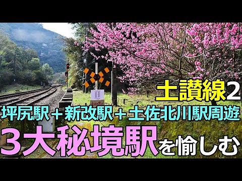 【土讃線2】四国３大秘境駅を愉しむ！琴平～阿波池田間全駅下車周遊の鉄旅