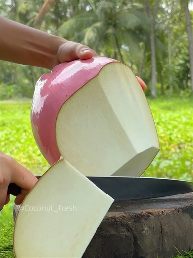 Highland Coconut ASMR: Relaxing Sounds from Sanhok