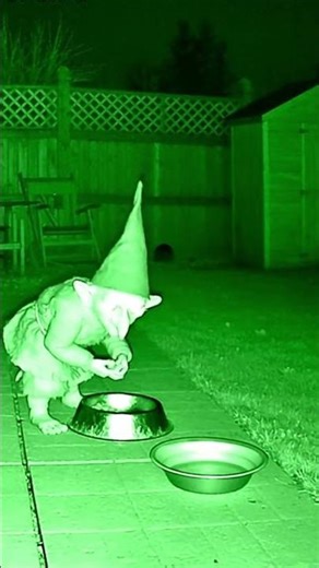 [CCTV] REAL GNOME caught eating in my backyard? 🥣😨