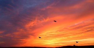 Video by Ajaya Bist on Pexels