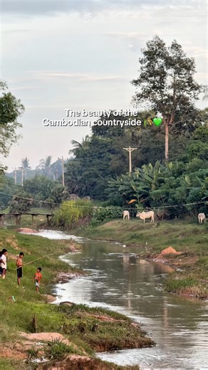The beauty of the Cambodian countryside 💚🌾 Funny how the rides you’re unsure about often become the ones you’ll never forget. 🍃🌾 Join me on a dirtbike adventure through Cambodia 🇰🇭 Follow me, I’ll lead the way 🫶 #letmeshowyoucambodia #cambodia #siemreap #countryside | Laoclassics