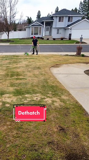 Electric Dethatcher Tips for a Beautiful Lawn