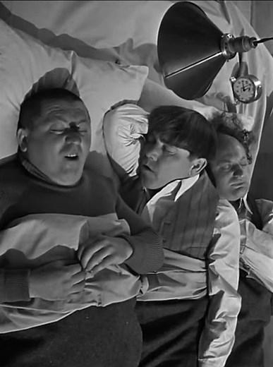 Three Stooges sleep standing up
