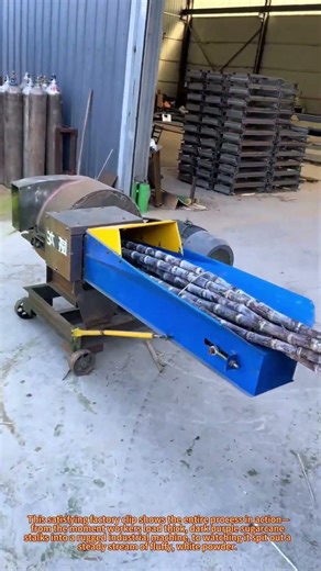 Sugarcane Turned into Powder with a Powerful Industrial Machine