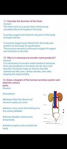 ncert class 7th science chapter 7 questions answers | Ncert solutions|